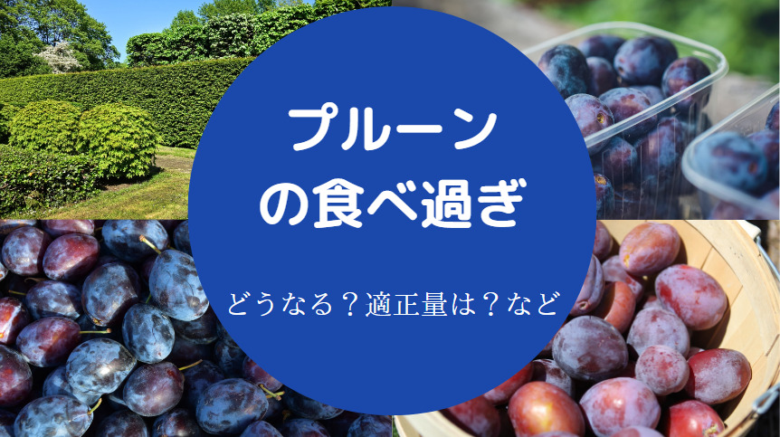 プルーンの食べ過ぎ