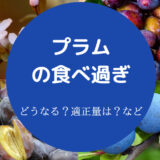 プラムの食べ過ぎ