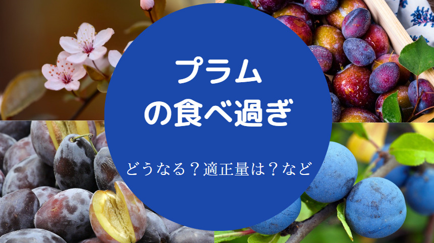 プラムの食べ過ぎ