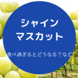 【シャインマスカットの食べ過ぎ】一日何粒まで？消化悪い？胃痛？等