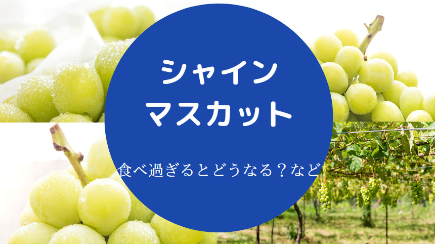 シャインマスカットの食べ過ぎ