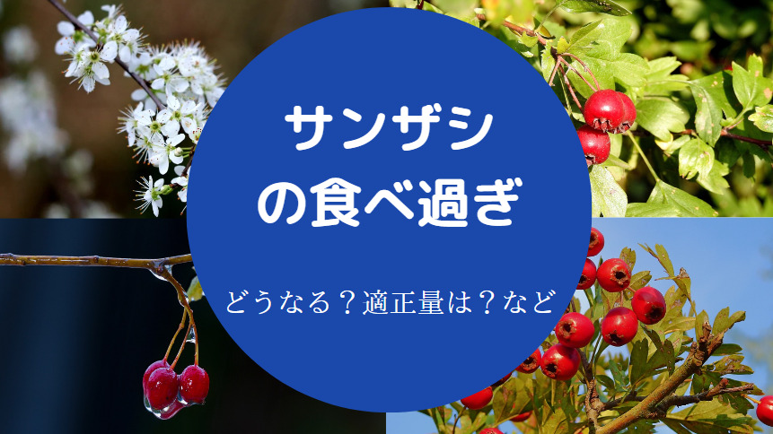サンザシの食べ過ぎ