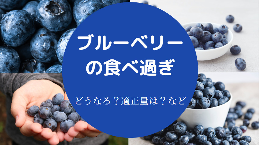 ブルーベリーの食べ過ぎ