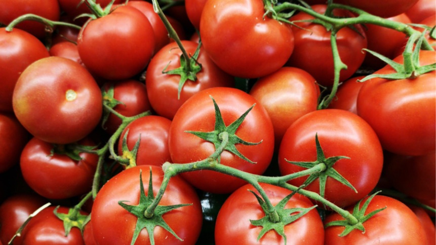 トマトを食べ過ぎるとどうなるのか