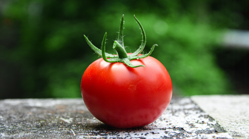 トマトに関するよくある質問