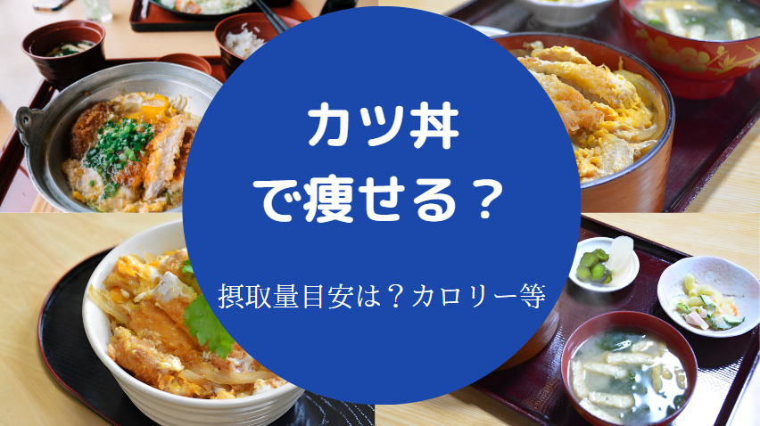 カツ丼で痩せるのか