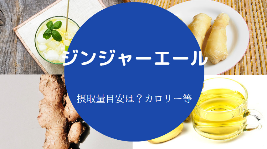 ジンジャーエールは太る？