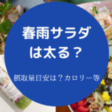 春雨サラダは太る?
