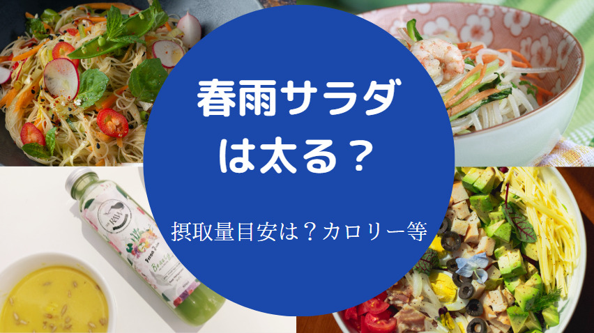春雨サラダは太る？