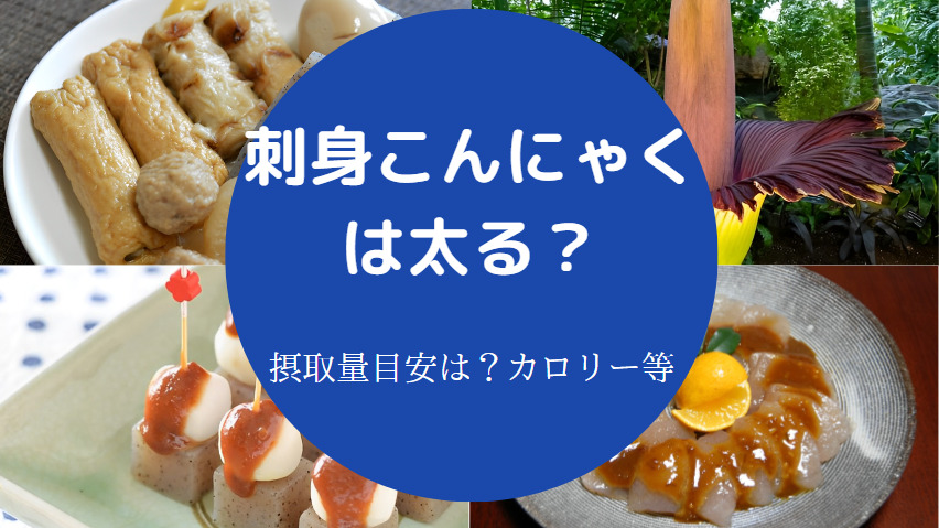 刺身こんにゃくは太るのか