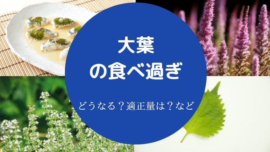 大葉の食べ過ぎ