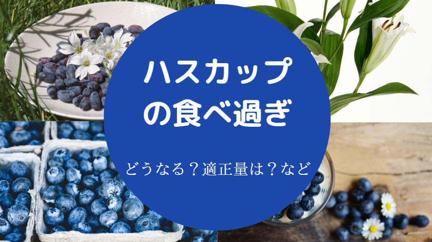 ハスカップの食べ過ぎ