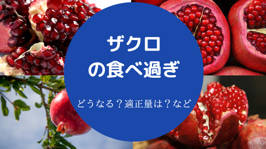 ザクロの食べ過ぎ