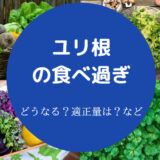 ユリ根の食べ過ぎ