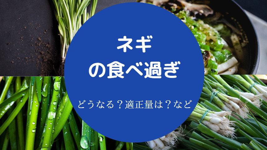 ネギの食べ過ぎ