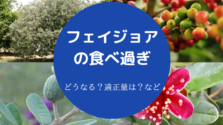フェイジョアの食べ過ぎ