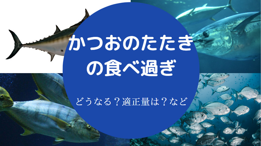 かつおのたたきの食べ過ぎ