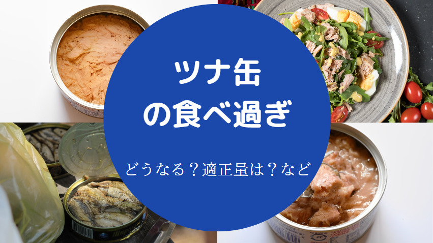 ツナ缶の食べ過ぎ