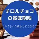 チロルチョコの賞味期限