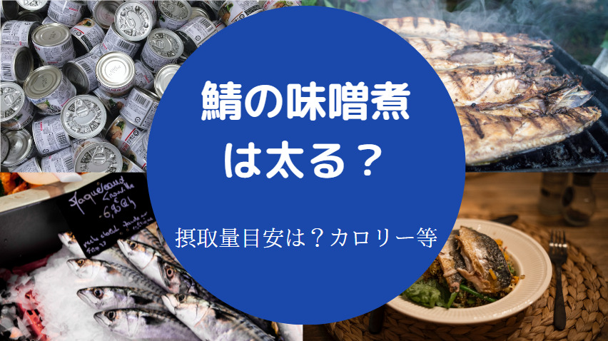 鯖の味噌煮は太る？