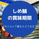 しめ鯖の賞味期限