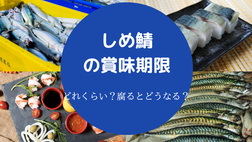 しめ鯖の賞味期限