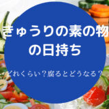 きゅうりの素の物の日持ち