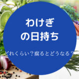 わけぎの日持ち