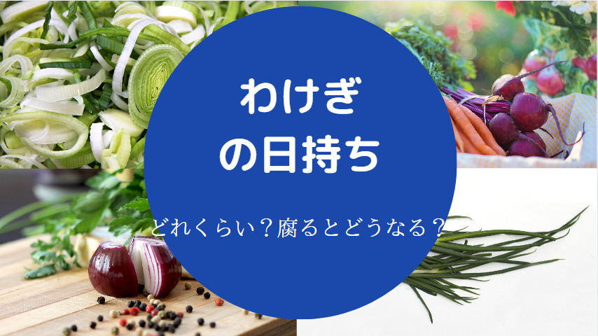 わけぎの日持ち