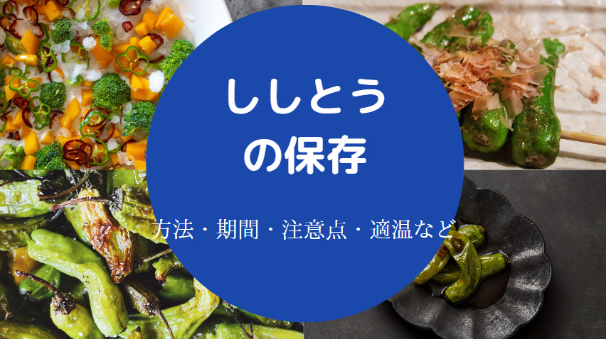 ししとうの保存方法
