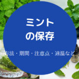 ミントの保存