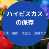 ハイビスカスの種類