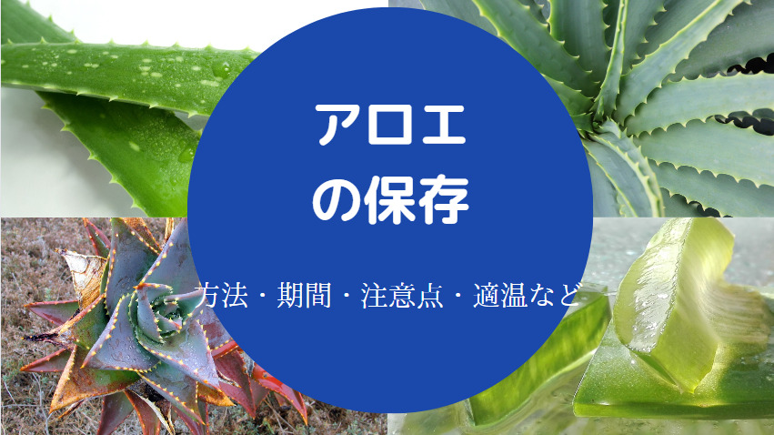 アロエの保存方法