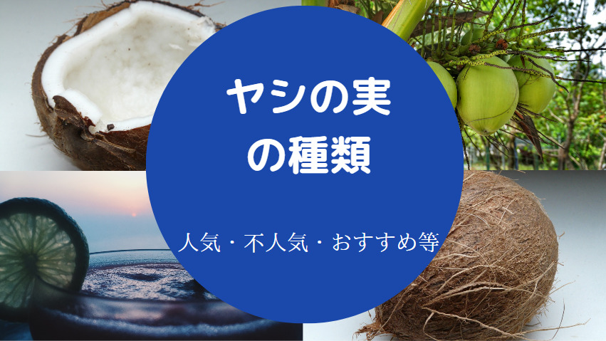 ヤシの実の種類