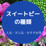 スイートピーの種類