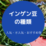 インゲン豆の種類