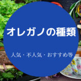 オレガノの種類について