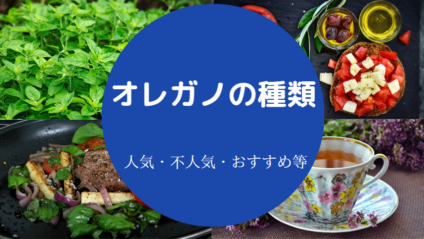 オレガノの種類について