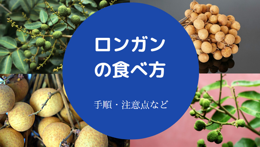 ロンガンの食べ方について