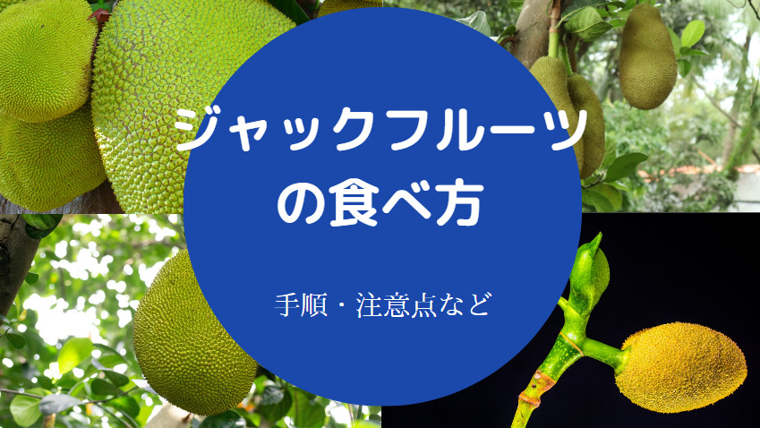 ジャックフルーツ 新鮮 波羅蜜 パラミツ7.4キロ - 果物