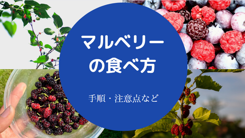 マルベリーの食べ方について