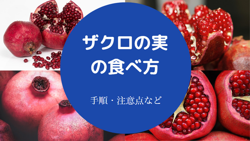 ザクロの実の食べ方について
