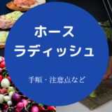 ホースラディッシュの食べ方について
