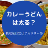 カレーうどんを食べると太るのか