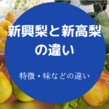 新興梨と新高梨の違いについて