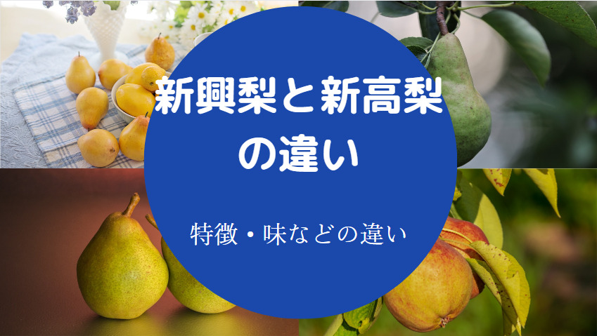新興梨と新高梨の違いについて