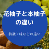 花柚子と本柚子の違いについて