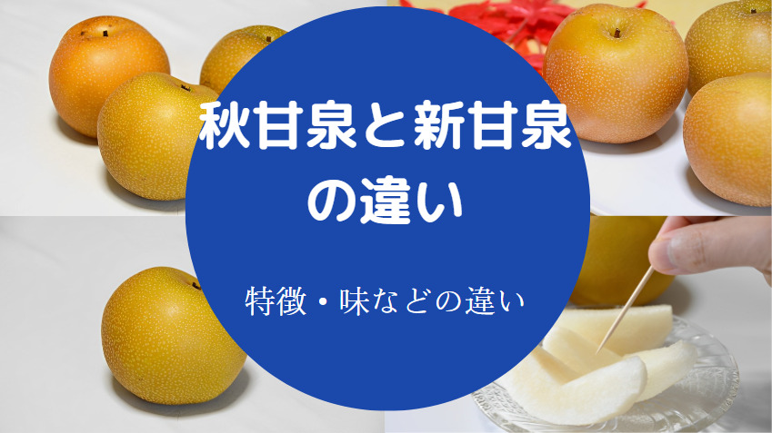 秋甘泉と新甘泉の違いについて