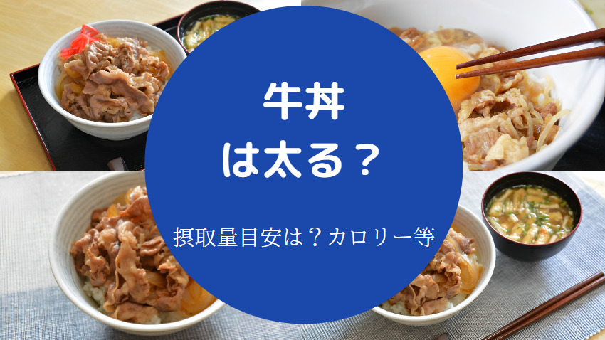 牛丼は太る？