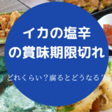 イカの塩辛の賞味期限切れ